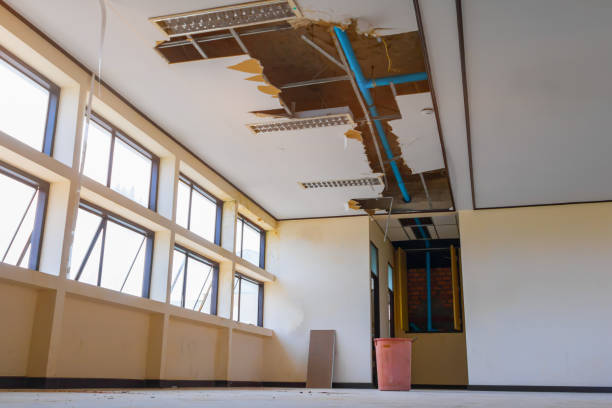 Best Water damage contractors near me  in Advae, NC