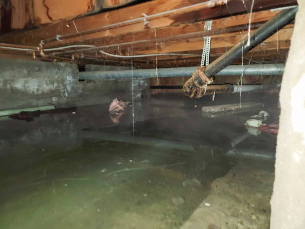 Best Residential water damage restoration  in Advae, NC