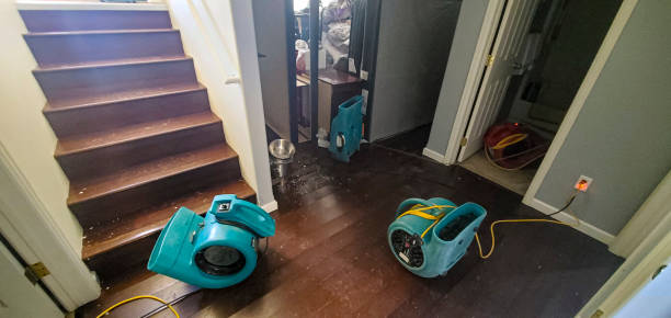 Best Carpet water damage restoration  in Advae, NC