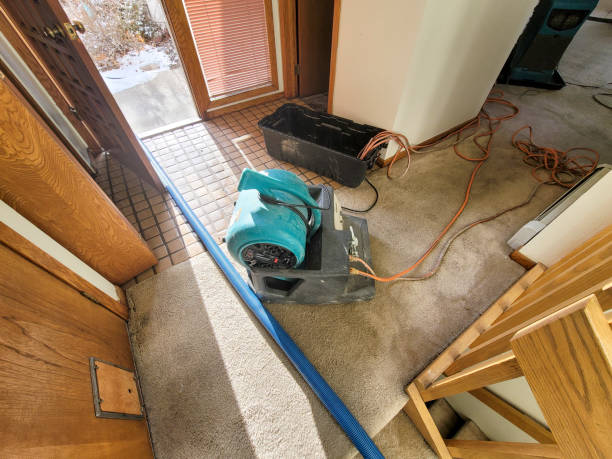 Best Water damage restoration insurance claims  in Advae, NC