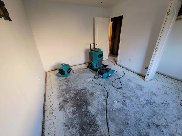 Best Professional water damage repair  in Advae, NC
