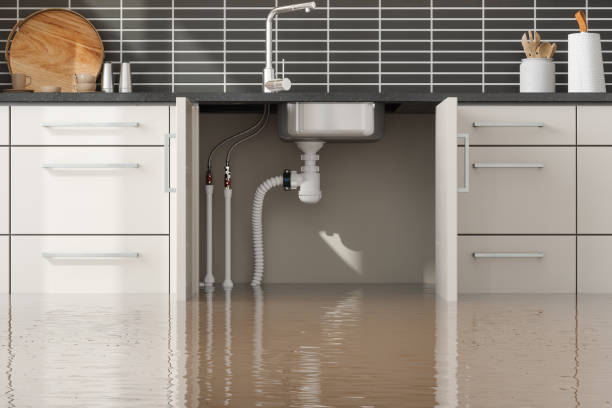 Best Professional water damage repair  in Advae, NC