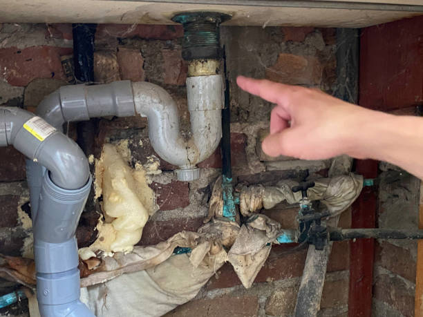 Best Water damage restoration mold remediation  in Advae, NC