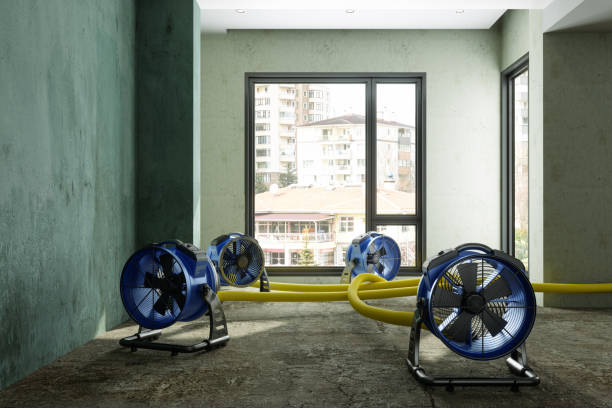 Best Water damage restoration near me  in Advae, NC