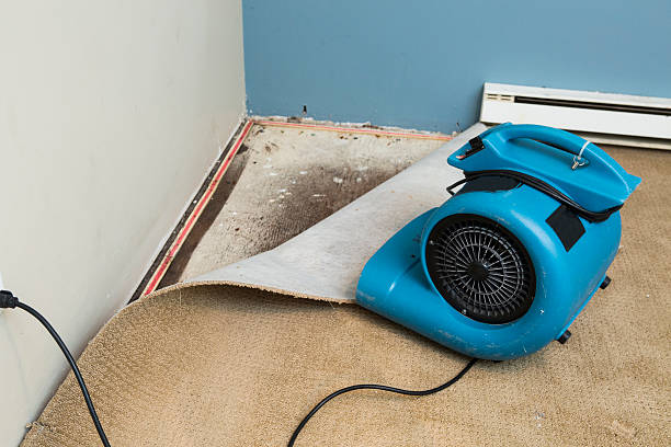 Best Local water damage restoration  in Advae, NC